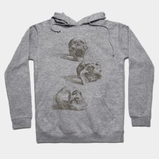 Salvator Rosa - Three Human Skulls Hoodie